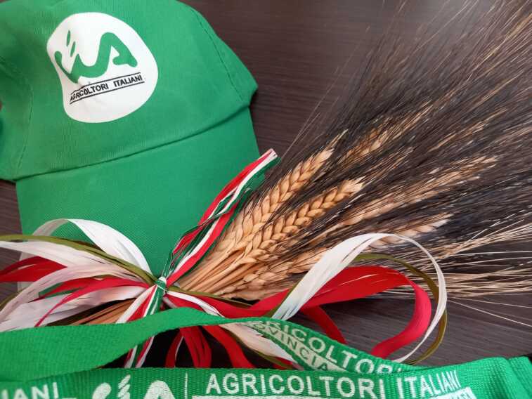 Tir di grano estero al porto di Manfredonia, la denuncia di Cia Puglia: «È questo il made in Italy?»