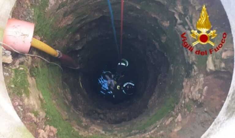 Galleria foto 'San Pietro Vernotico, gatto cade in un pozzo profondo 10 metri: salvato dai vigili del fuoco' - foto 1