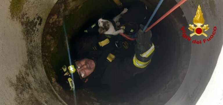San Pietro Vernotico, gatto cade in un pozzo profondo 10 metri: salvato dai vigili del fuoco