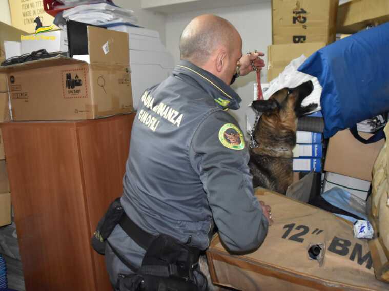 Basco e Fagot fiutano la droga: 30 persone segnalate dalla Guardia di finanza nel Tarantino