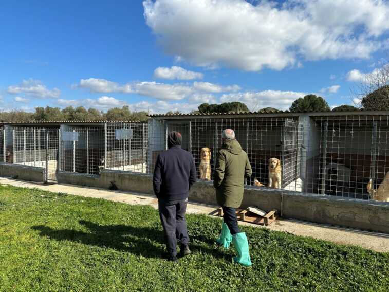 Carenze strutturali, la Asl chiude il canile di Acquaviva. Il sindaco: «I tempi per i lavori saranno lunghi»