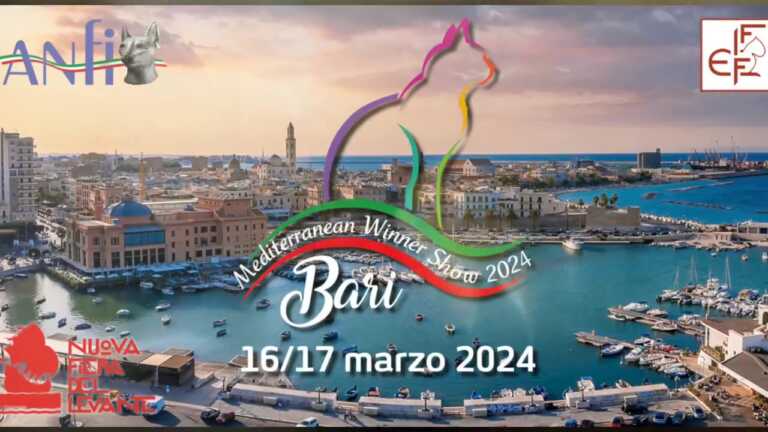 Gli amanti dei gatti si riuniscono a Bari: in Fiera del Levante il Mediterranean winner show 2024 – VIDEO