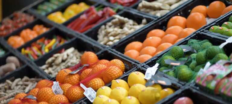 La Puglia a Berlino per Fruit Logistica 2024: «Le nostre aziende prime esportatrici di ortofrutta in Germania»