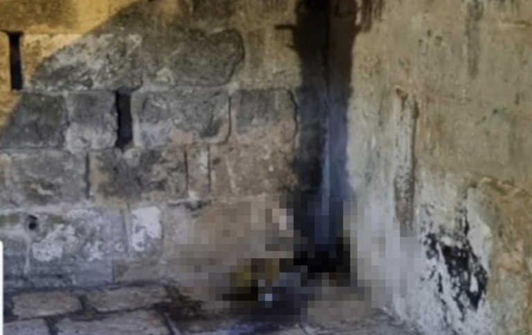 Orrore a Oria: un gattino dato alle fiamme in centro. Il sindaco denuncia: «Drammatico e sconvolgente»