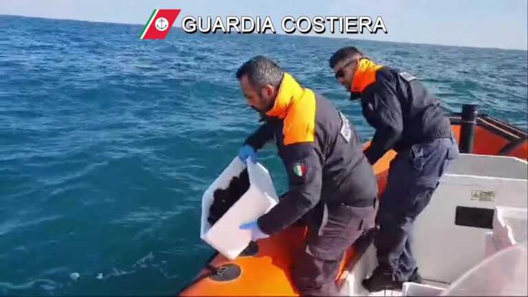 Bari, sequestrati 35 chili di ricci di mare e 40 di “bianchetto” trovati su un’auto già sottoposta a fermo – VIDEO