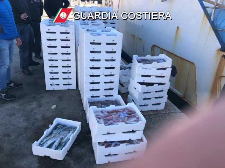 Da Bisceglie a Polignano, controlli nei porti e in pescheria: sequestrati diversi chili di prodotti ittici – VIDEO