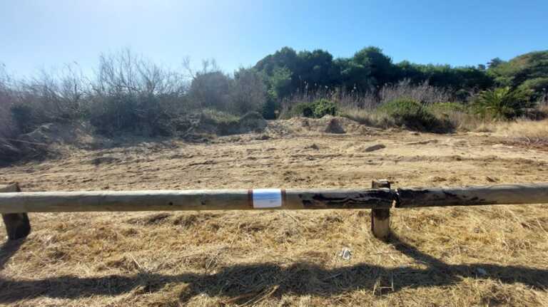 Galleria foto 'Porto Cesareo, sorpreso a “sbancare” dune in un’area protetta a Punta Prosciutto: denunciato' - foto 1