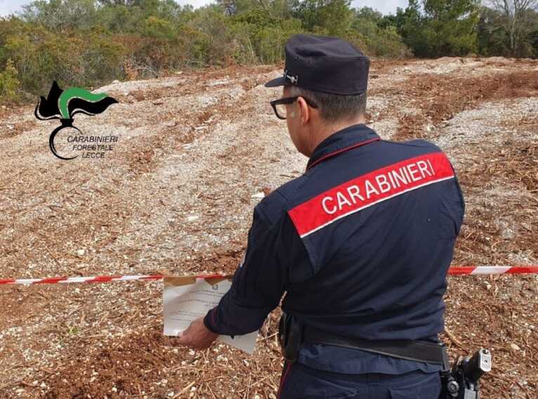 Galleria foto 'Scoperto un cantiere abusivo nei pressi di Torre Palane a Tricase: una denuncia' - foto 1