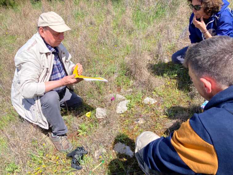 Portoselvaggio, scoperta una nuova orchidea ibrida: è dedicata all’archeologa Ranaldo