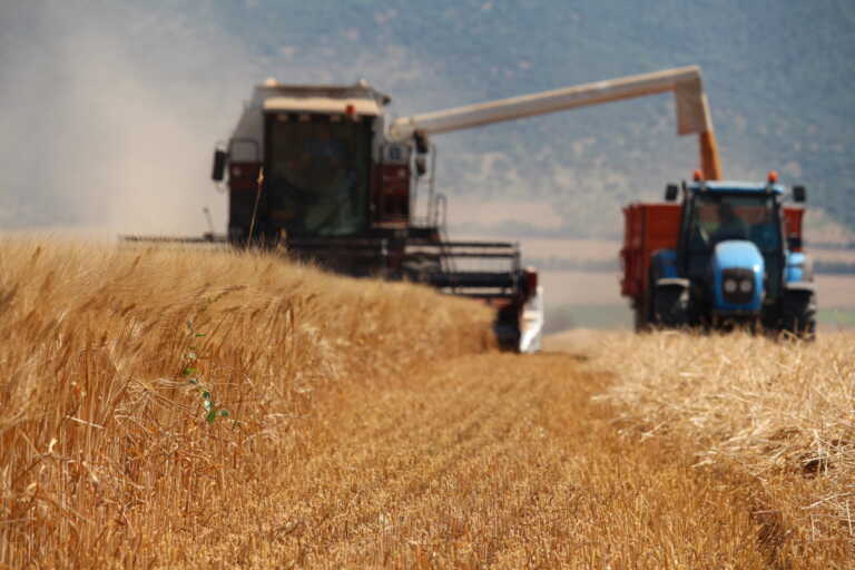 Grano, le richieste dei produttori pugliesi: «Controlli rigorosi e limiti all’import» Grano, le richieste dei produttori pugliesi: «Controlli rigorosi e limiti all’import»