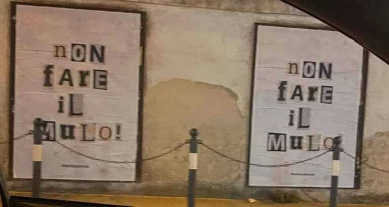 Il monito a Canosa: “Non fare il mulo”. Il messaggio di un “moralizzatore” d’eccezione