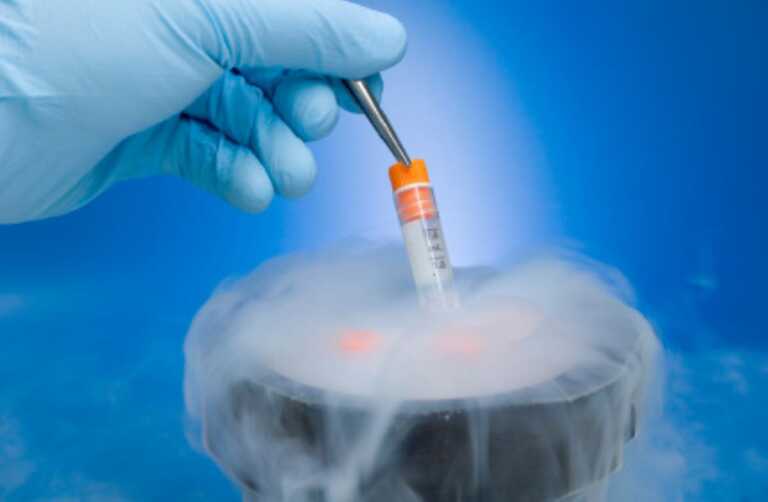 Tu non puoi capire – Il social freezing