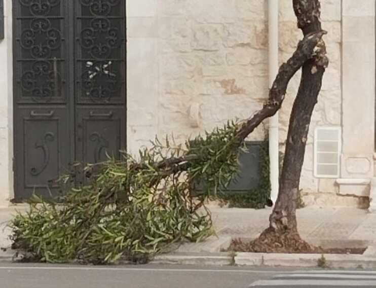 Vento forte in Puglia: sfiorati i 100 chilometri orari. In vigore l’allerta gialla