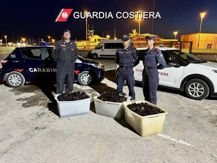 Galleria foto 'Pescano ricci di mare anche se è vietato: multa da 4mila euro per due subacquei di Barletta' - foto 1