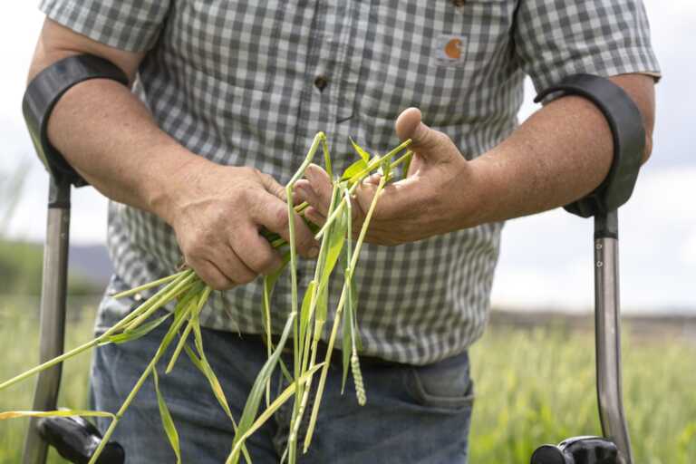 L’agricoltura in Basilicata resta a secco, niente fondi dalla Regione