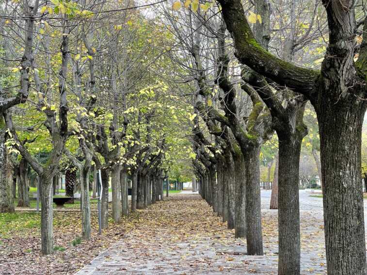 Bat, piano urbanistico per la provincia: «Sul verde serve un tavolo di confronto»