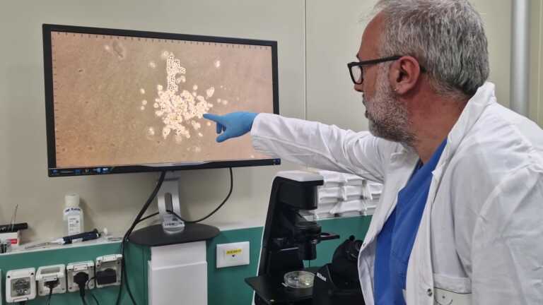 Bari, da Airc un milione di euro per uno studio dell’oncologico su leucemie mieloidi acute – VIDEO