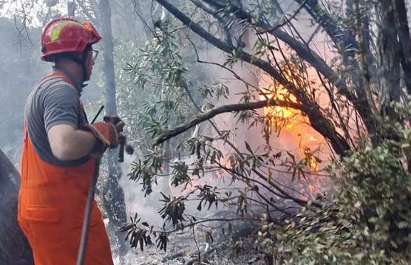 Estate in anticipo sul Gargano e arrivano gli incendi boschivi