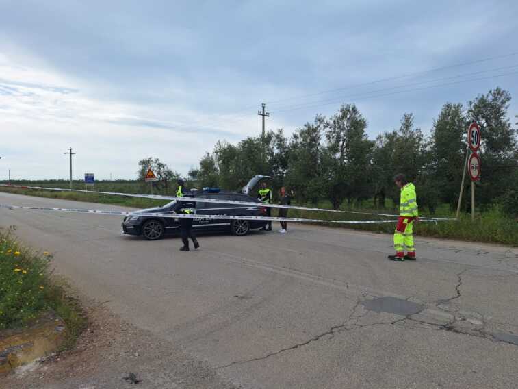 Galleria foto 'Frontale tra due auto sulla provinciale tra Andria e Bisceglie: feriti i conducenti' - foto 2