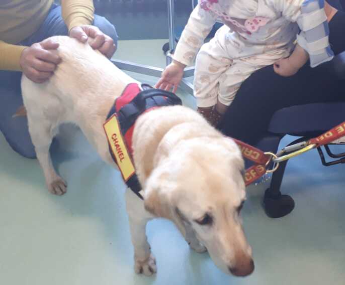 Visita speciale per i bimbi dell’ospedale di Taranto: ecco Chanel e Nala. Torna la pet therapy