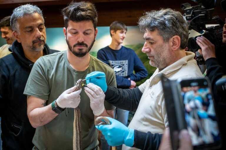 Studiare il comportamento dei serpenti per prevedere i terremoti: lo studio dell’UniBa