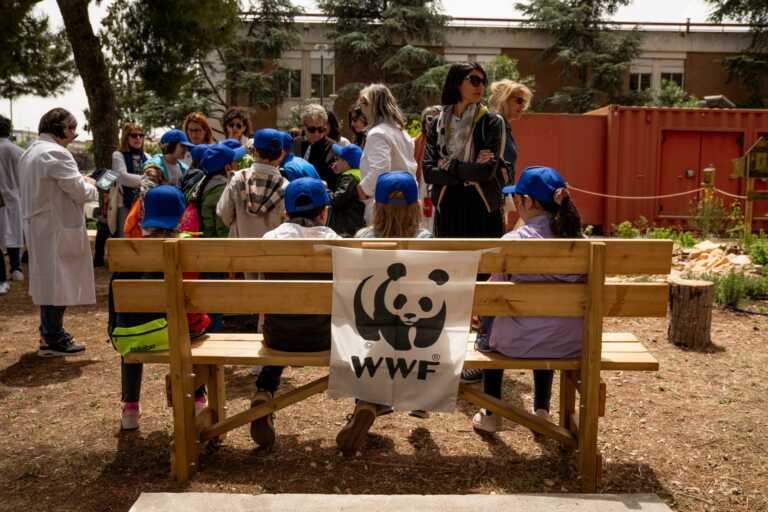 La natura in ospedale, inaugurata un’oasi Wwf al pediatrico di Bari: migliorerà il benessere dei pazienti