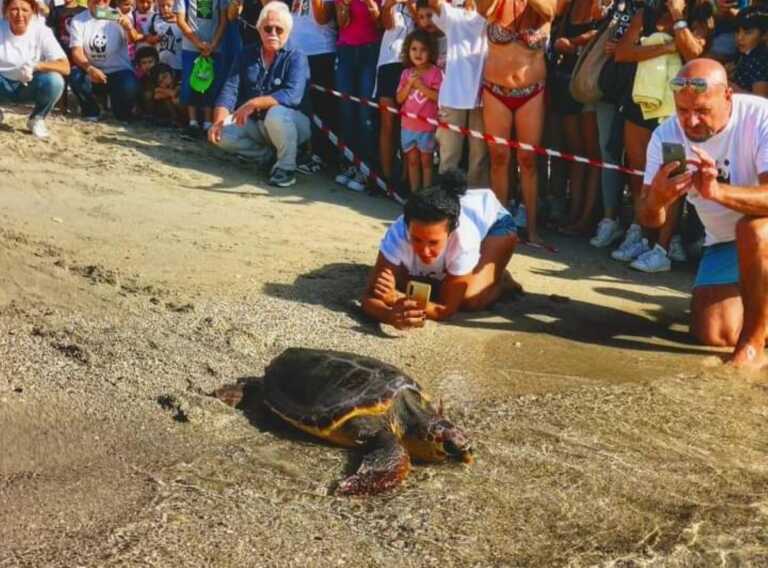 Taranto, Azimuth torna libera: la tartaruga soccorsa e salvata dai volontari del Wwf