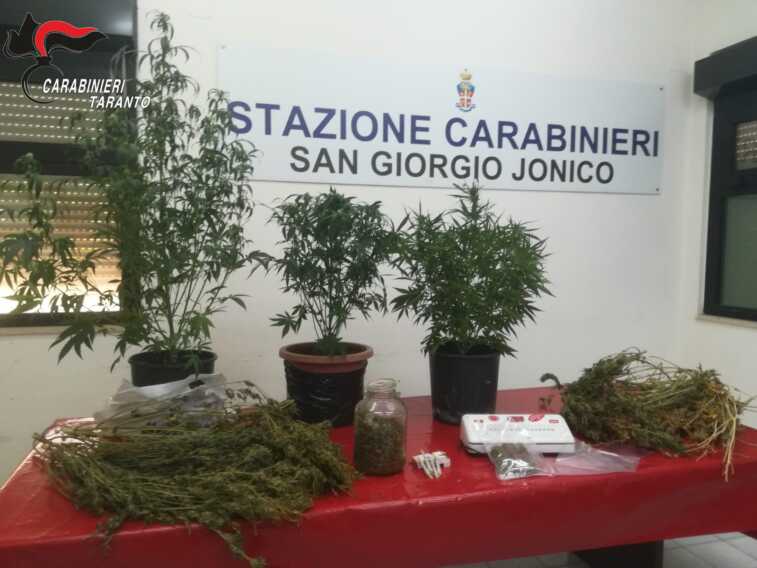 San Giorgio Jonico, coltiva marijuana in casa e la vende: arrestato 38enne. Sequestrate 12 piante  
