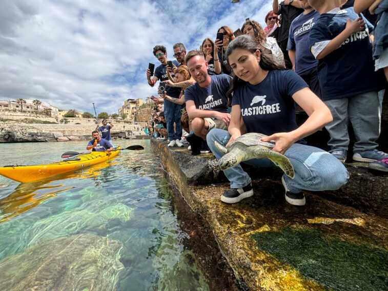 Castro, tornano in libertà quattro tartarughe marine Caretta caretta curate a Calimera – VIDEO