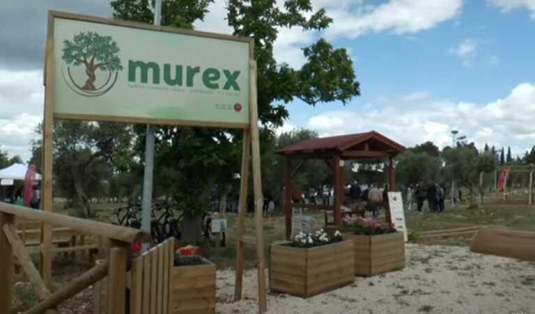 Cassano, un pezzo di Murgia per fare impresa sociale: al parco Murex si coltiva il futuro