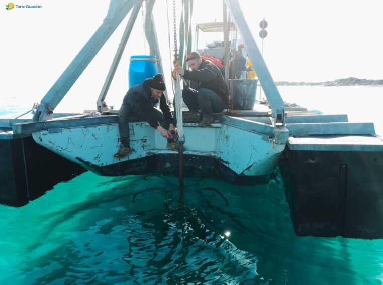 Guerra alla pesca a strascico a Torre Guaceto: via al progetto per tutelare i fondali – VIDEO