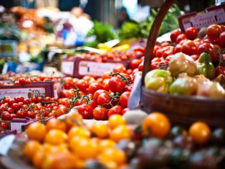 La Settimana della biodiversità pugliese: oltre 70 eventi dal Gargano al Salento con focus sull’alimentazione