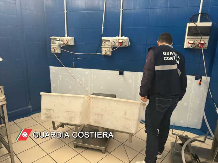 Galleria foto 'Polignano, sequestrati oltre 7 quintali di prodotti ittici: multa da 1.500 euro per un grossista' - foto 1