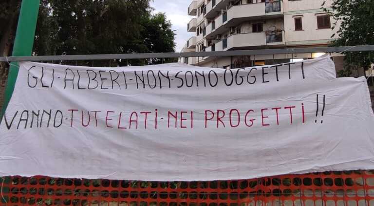 Terlizzi, rigenerazione urbana con taglio di alberi: è bufera sul sindaco e l’amministrazione