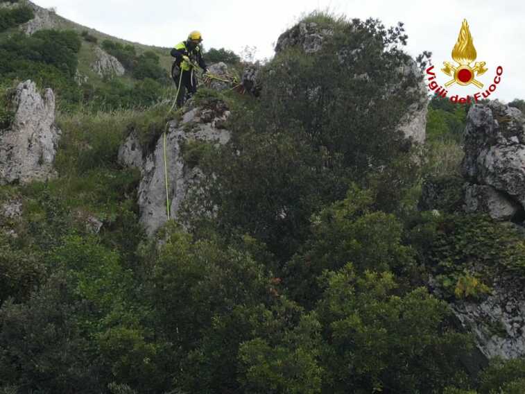 Galleria foto 'Cade in un dirupo inaccessibile a Balvano: cagnolina salvata dai vigili del fuoco – VIDEO' - foto 1