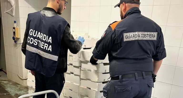 Manfredonia, nel deposito della pescheria 270 chili di prodotto ittico non tracciabile: sospesa l’attività