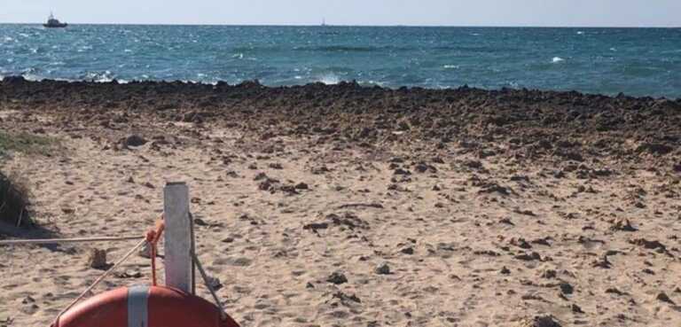 Gallipoli, bagnanti trovano delle ossa in spiaggia: non è chiaro se siano umane. Indagini in corso