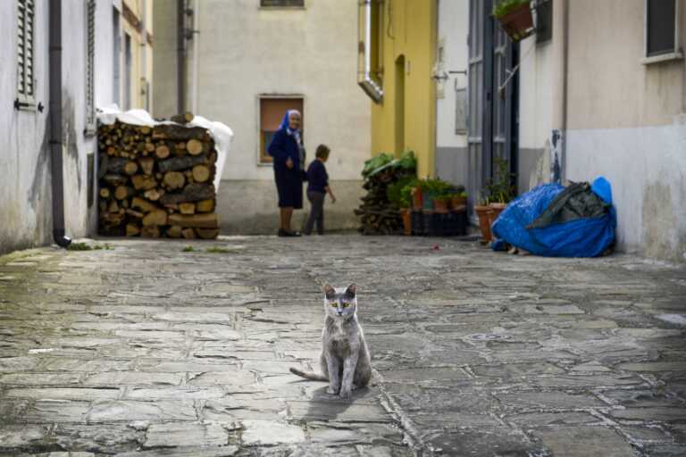 Il Mediterraneo può salvare il Mezzogiorno