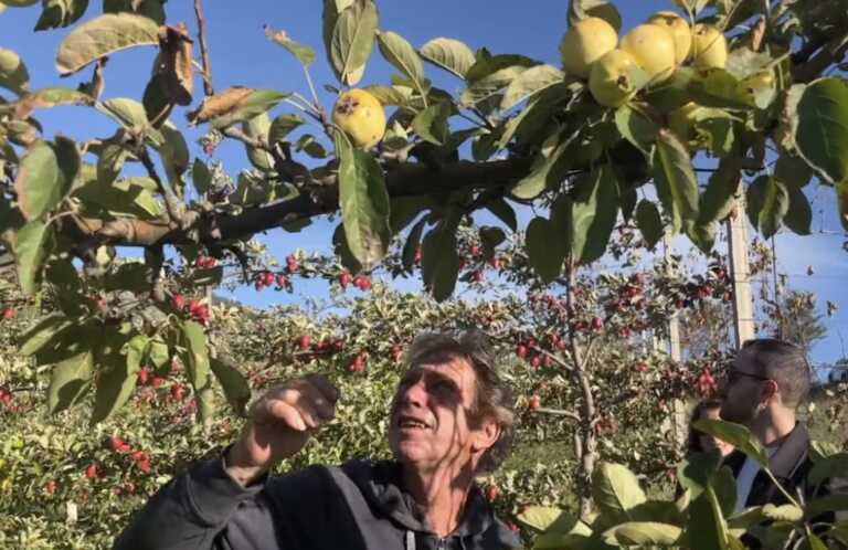 Orsara di Puglia, terra dei “superfood”. Il sindaco: «Qui il cibo è benessere»