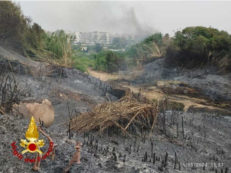 Galleria foto 'Incendio nel parco Di Giulio a Brindisi: fiamme vicino a una scuola e ad alcune palazzine' - foto 1