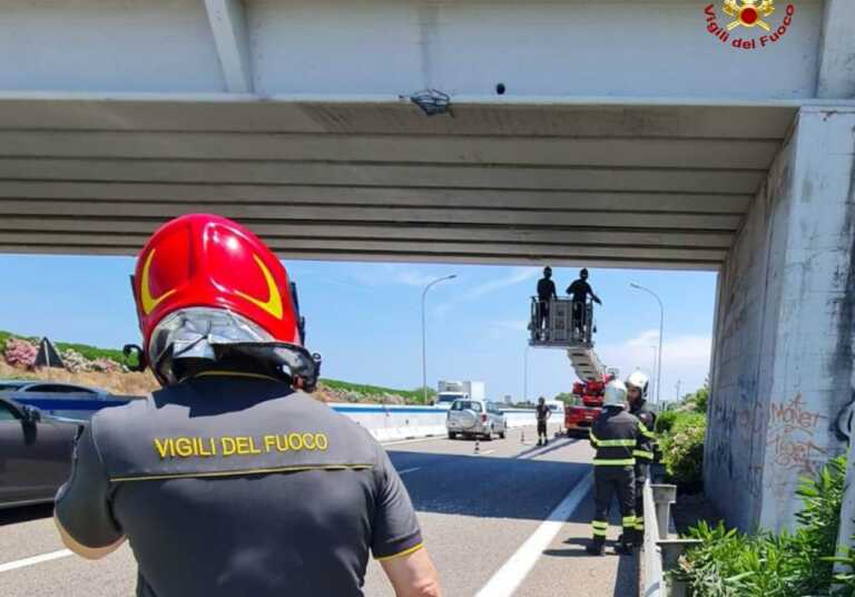 Galleria foto 'Bari, tir urta un cavalcavia sulla strada statale 16: i calcinacci finiscono sulle auto in transito' - foto 1
