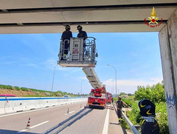 Bari, tir urta un cavalcavia sulla strada statale 16: i calcinacci finiscono sulle auto in transito