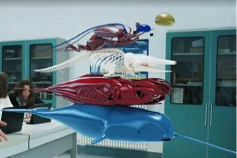 Visori 3D e intelligenza artificiale in classe: la sfida del liceo “Marconi” a Bari