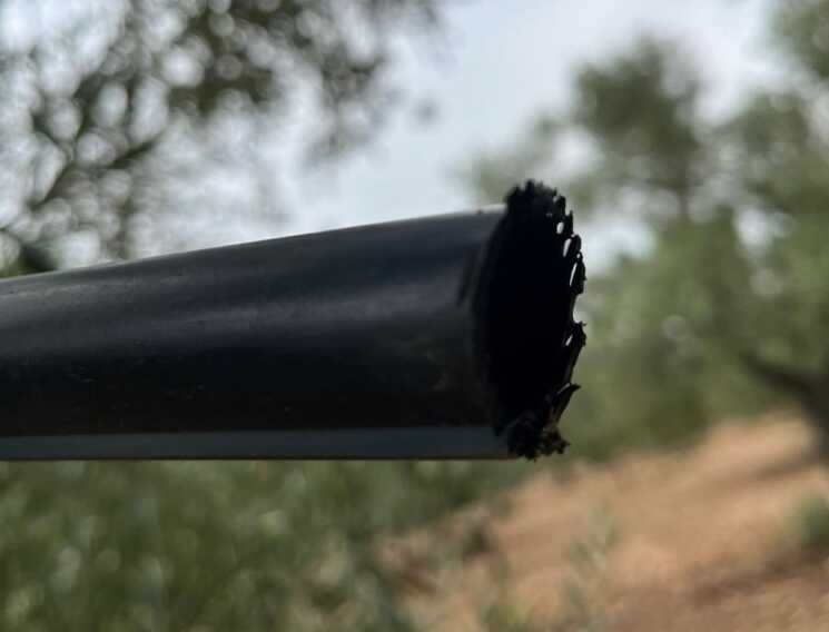 Vandali nelle campagne del Barese: danneggiati i tubi per l’irrigazione in un uliveto a Grumo Appula