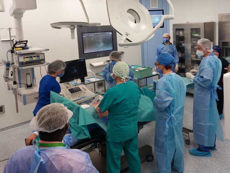 Patologie renali: 25 nefrologi provenienti da tutto il mondo si formano al Policlinico di Bari