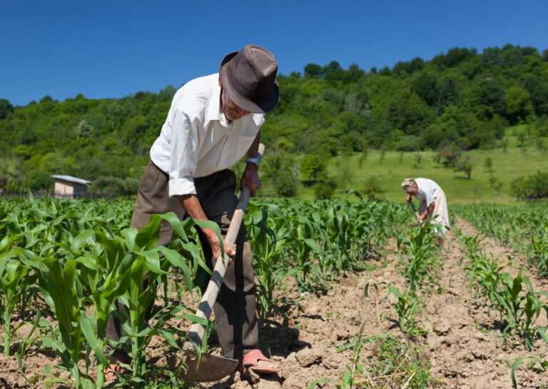 Il clima pazzo e l’agricoltura in ginocchio, in campo la Provincia di Matera: «La Regione si muova»