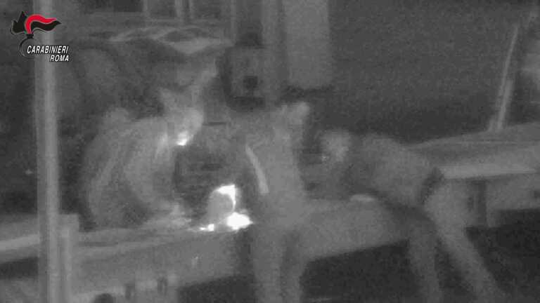 Rapporti tra banda della Magliana e mafia foggiana: 28 arresti tra Roma e la Capitanata – VIDEO