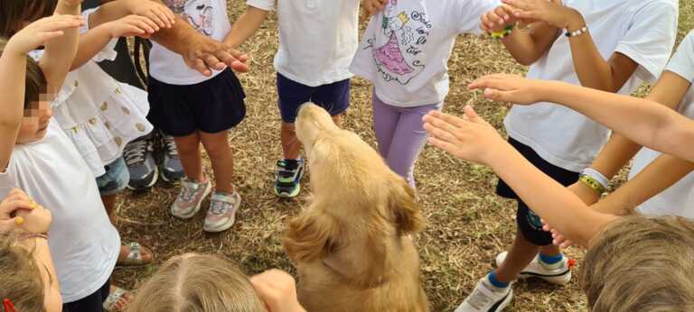 Giovinazzo, le “docenti” a quattro zampe insegnano le emozioni ai bambini – FOTO