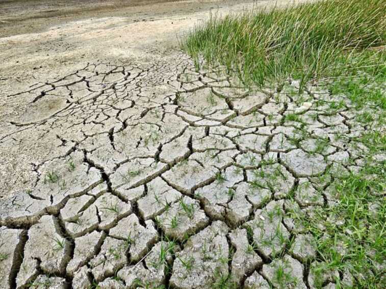Siccità, l’allarme della Coldiretti: «Il 57% del territorio pugliese è a rischio desertificazione»