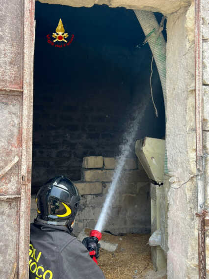 Galleria foto 'Fiamme in un’azienda agricola a Gioia del Colle: chiusa la Ss 100. Vigili del fuoco al lavoro' - foto 1